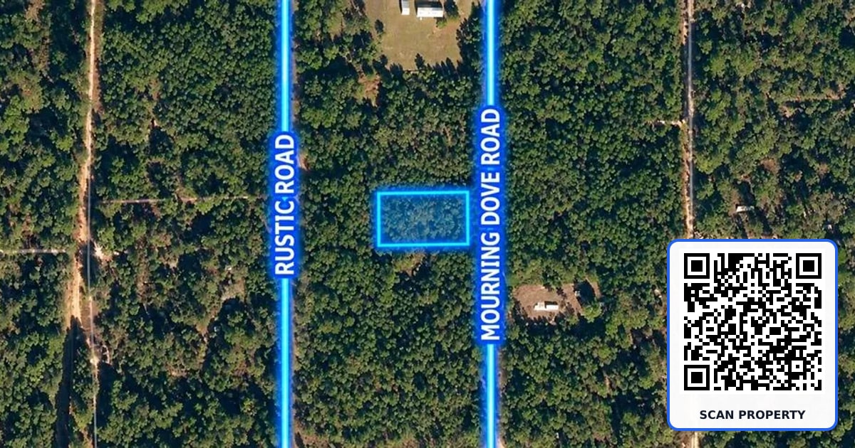 223 MOURNING DOVE ROAD property photo