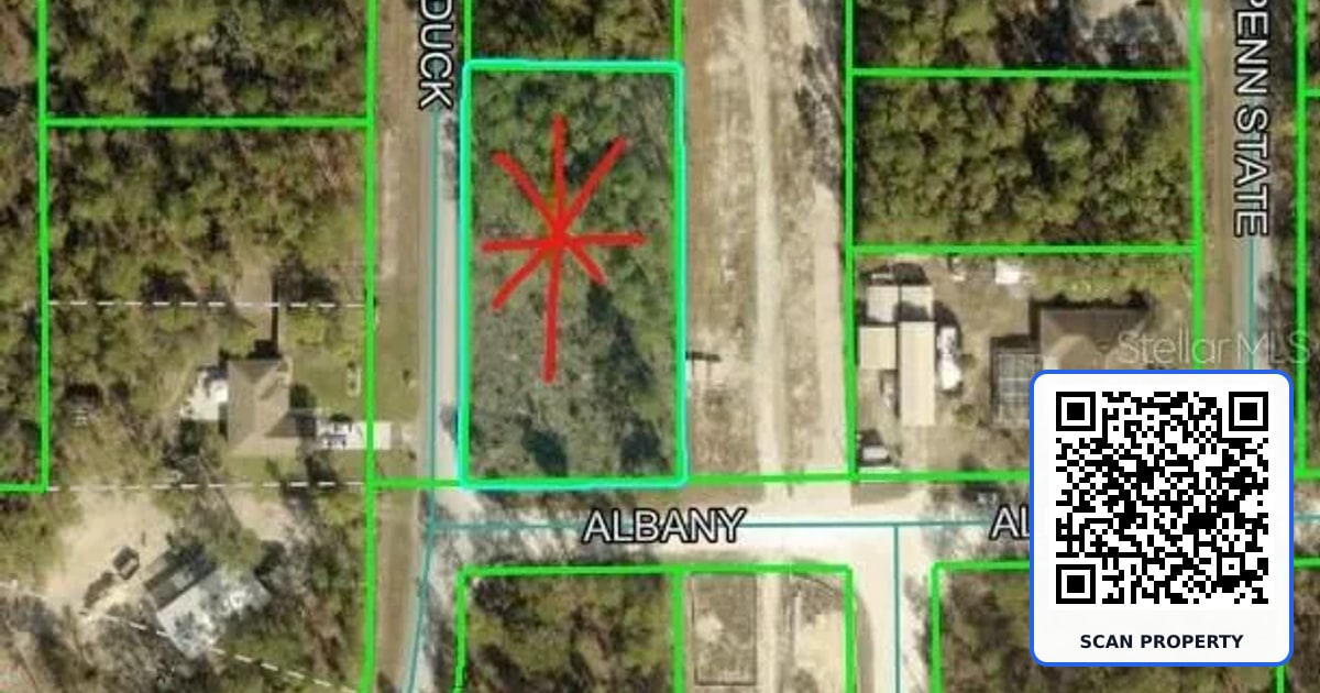 12421 ALBANY ROAD property photo