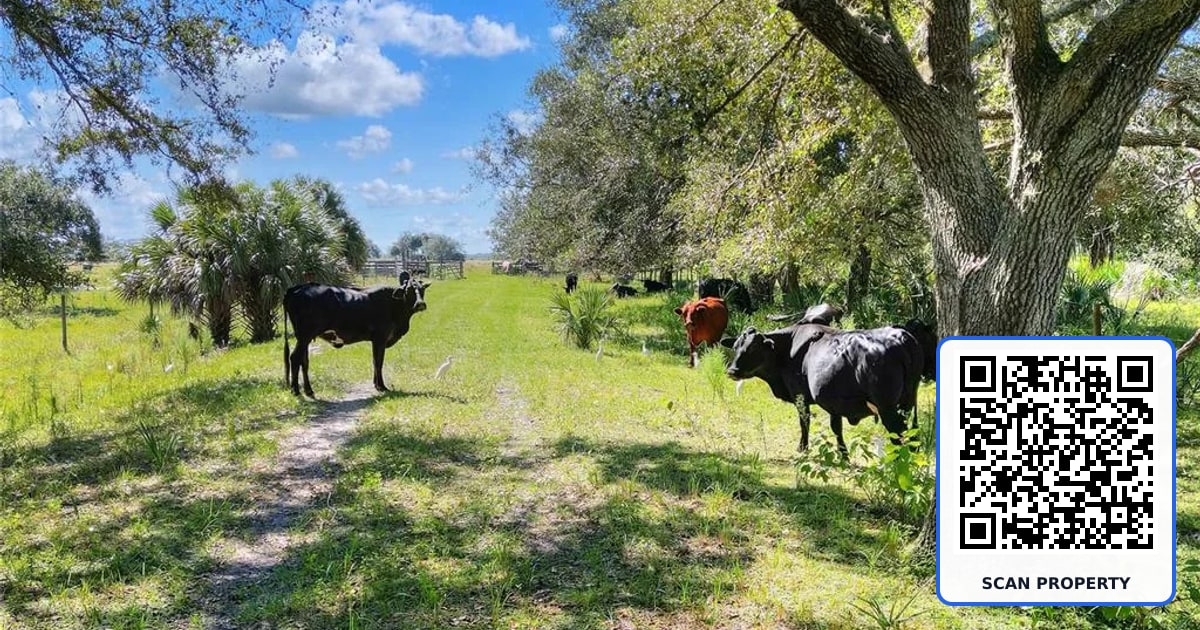 46891 FARABEE ROAD property photo