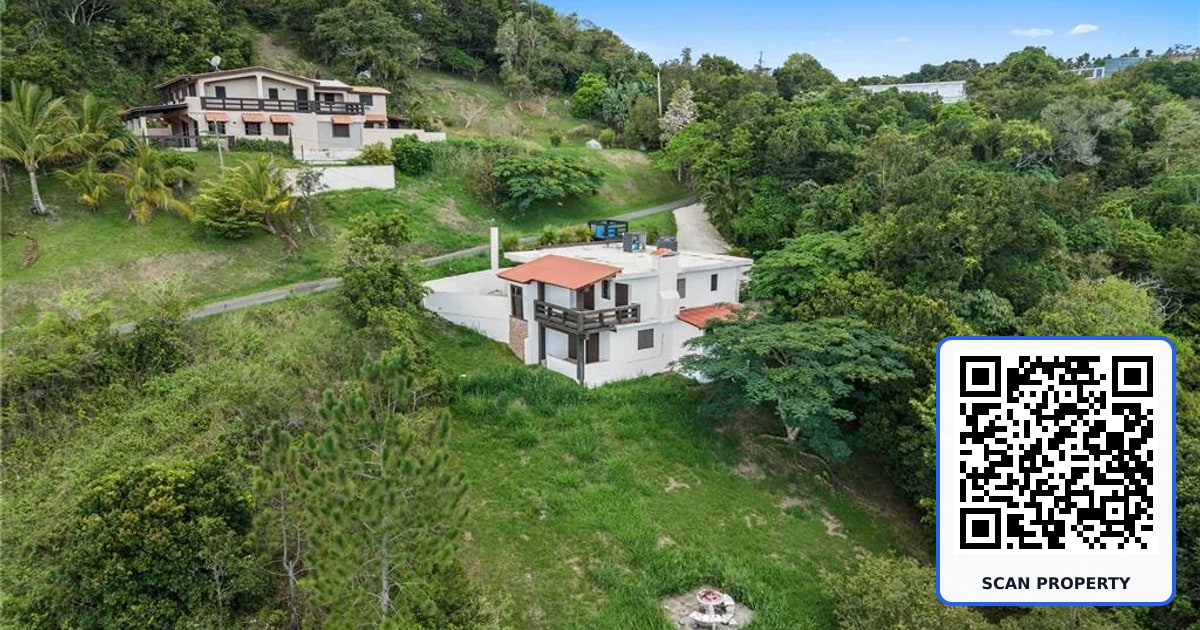 Carr 162 BO CUYÓN property photo