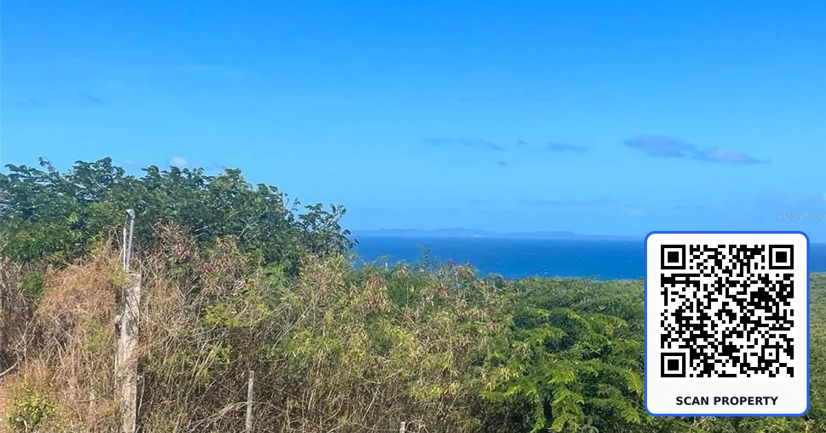 154 CALLE BASTIMIENTO property photo