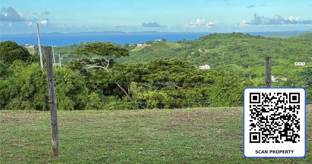 31 SAMUEL FELIX property photo