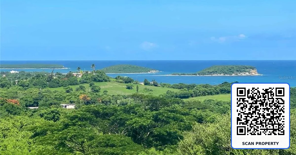 2C HACIENDA PUERTO REAL property photo