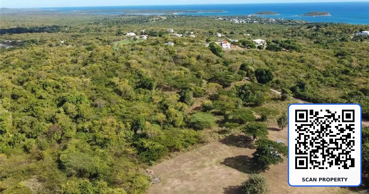 55 CALLE LA LLAVE property photo