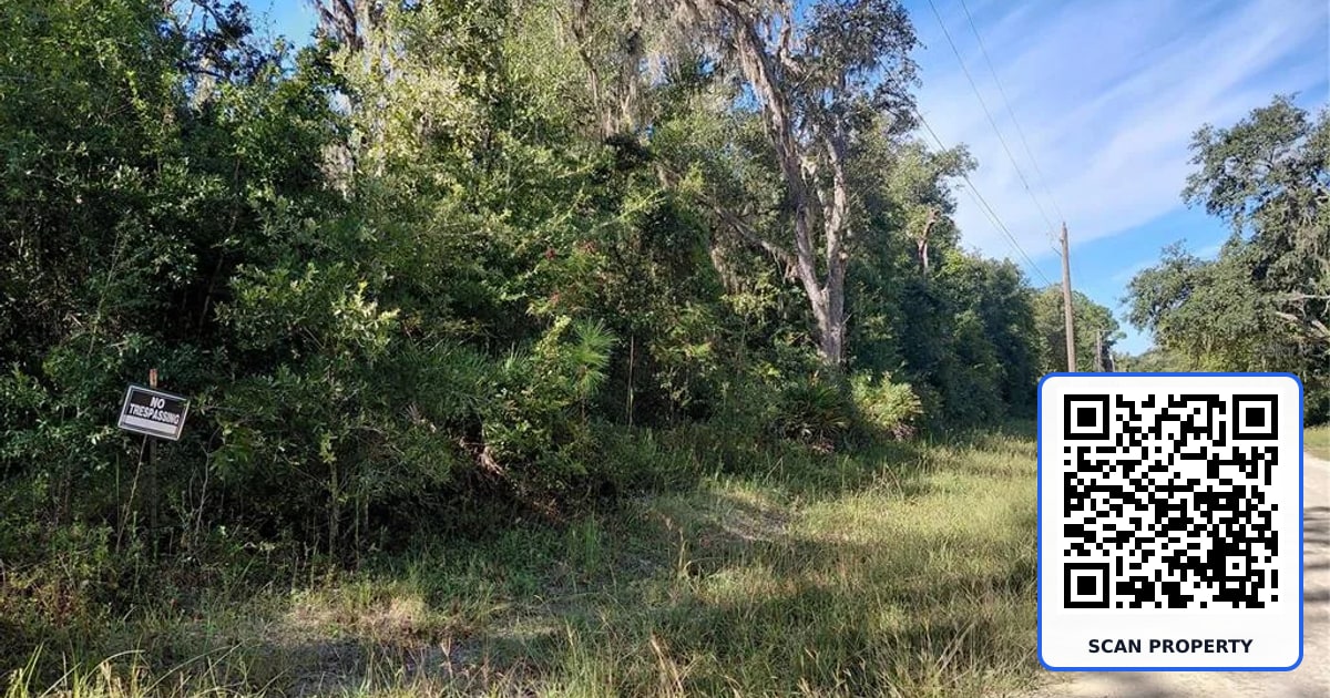 BUTTERNUT DRIVE property photo
