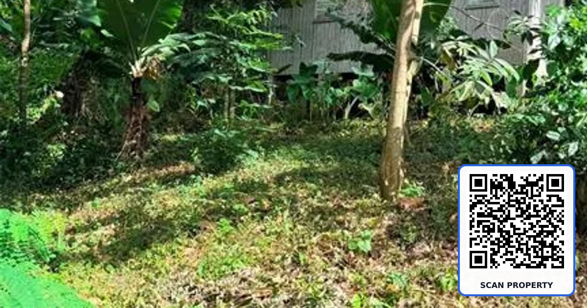CAIN ALTO. BO. HOCONUCO ALTO property photo