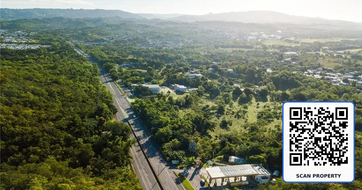 100 PUERTO RICO property photo