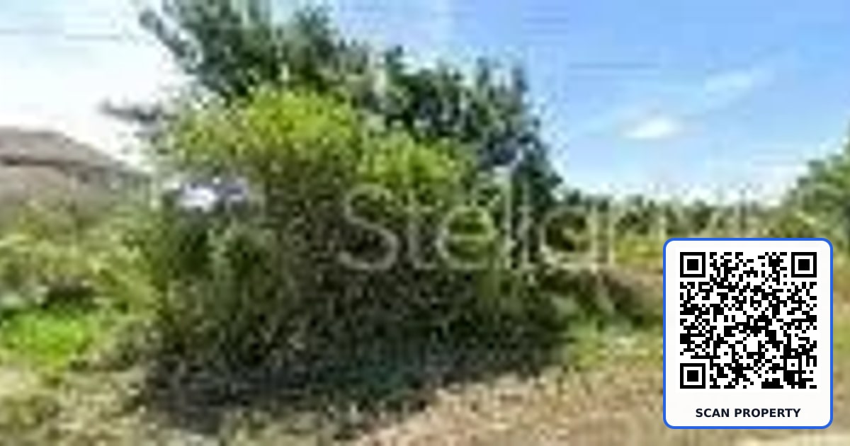 9193 ARBERG STREET property photo