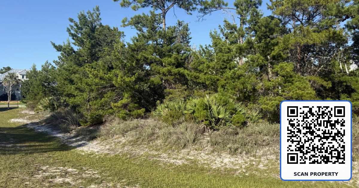 104 Conch Street property photo