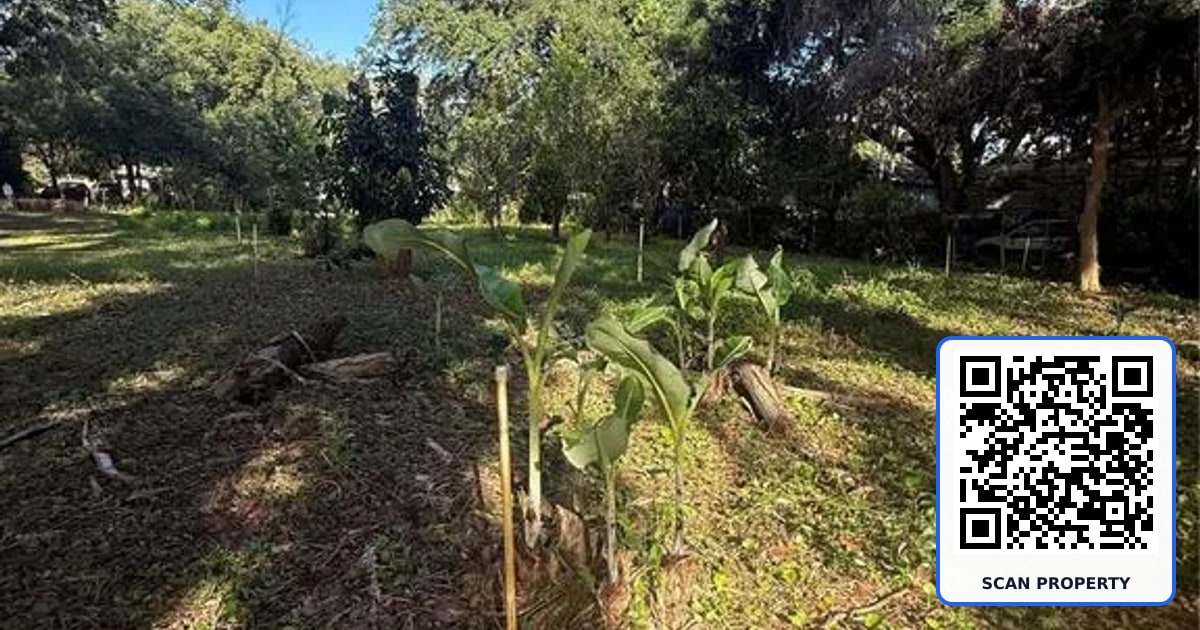 ORANGE AVENUE property photo