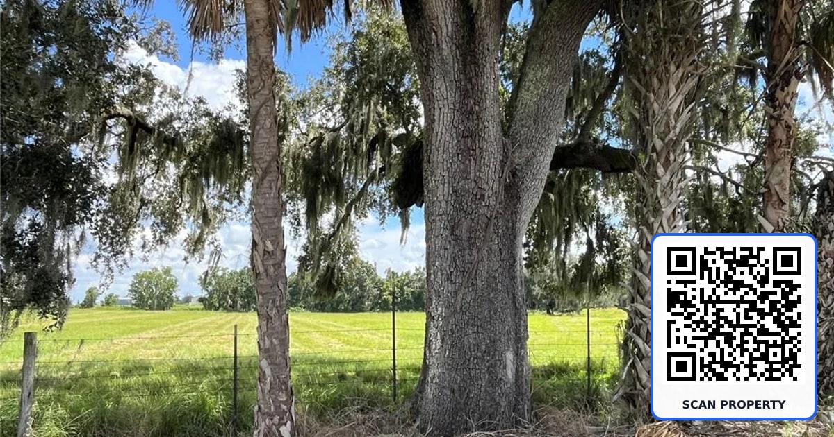 JOHNS ROAD property photo