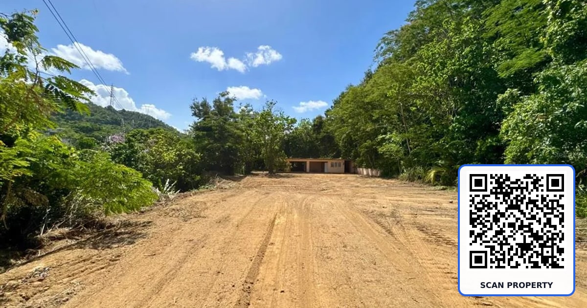 PR 796 Km 1.4 RIO CANAS WARD property photo