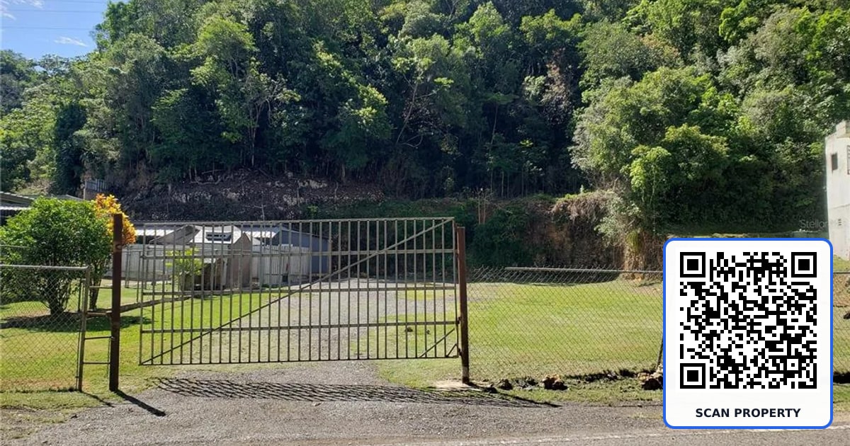 KM 1.7 PR-666 ROAD LOT 1 property photo