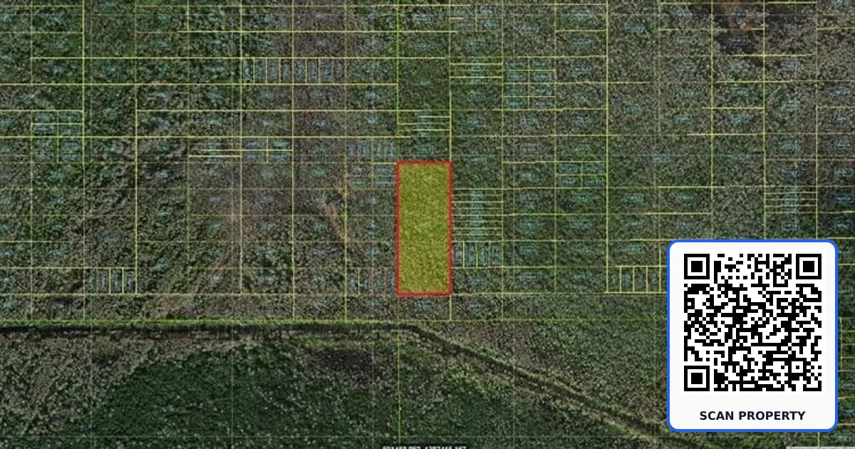 HOLOPAW GROVES ROAD property photo