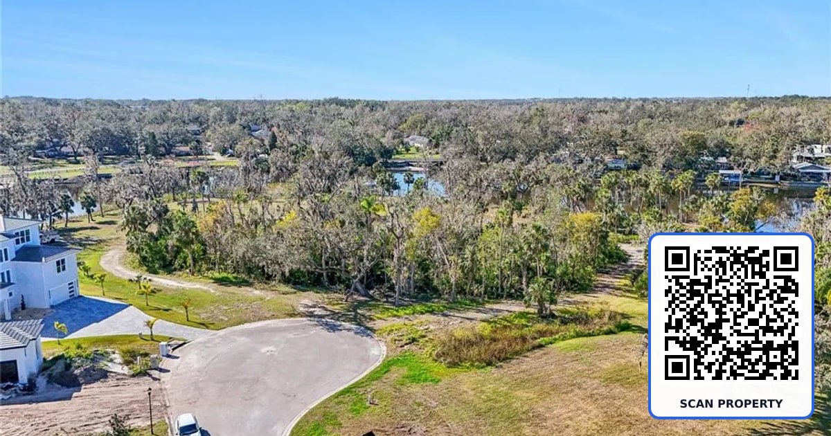8339 ALAFIA POINTE DRIVE property photo