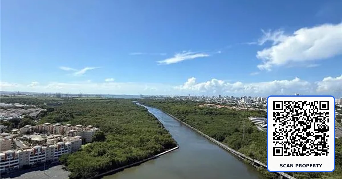 48 AVE. LUIS MUÑOZ RIVERA COND. AQUABLUE UNIT 2604 property photo