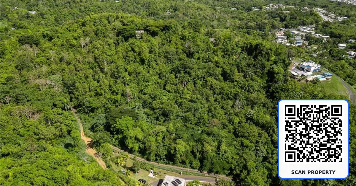 181 Km 31.0 Lote 7 BO. QUEBRADA property photo