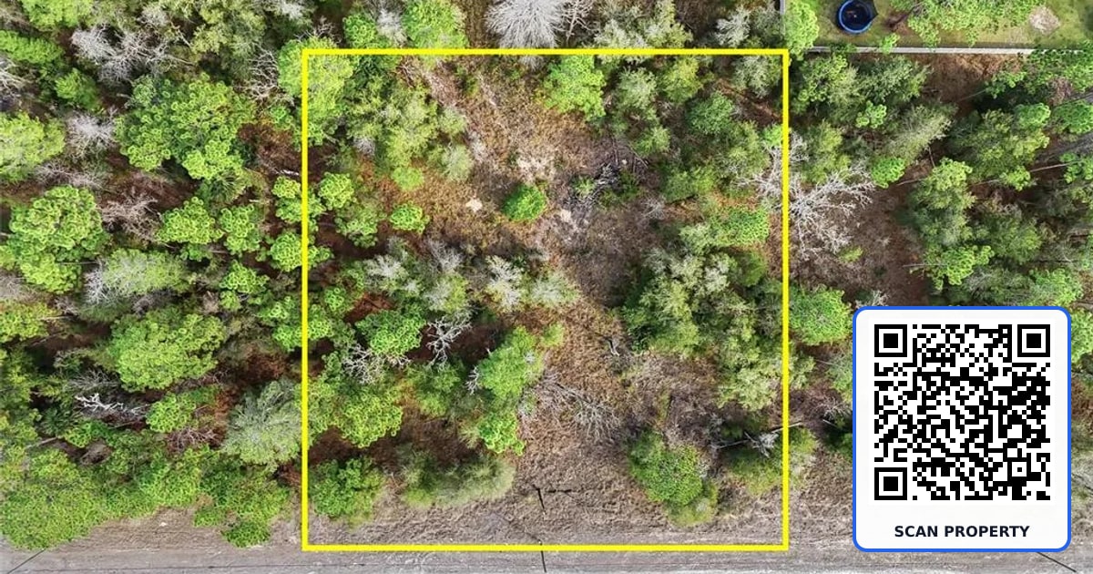CHIMNEY SWIFT ROAD property photo