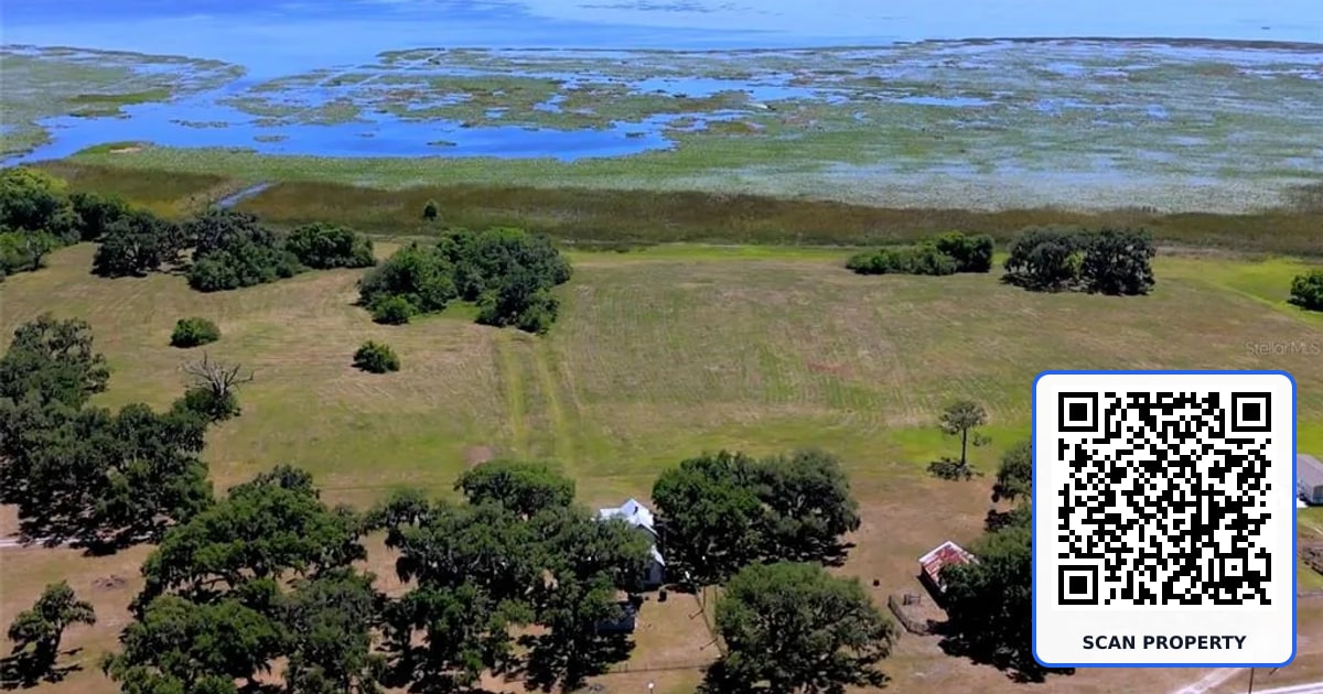 3650 LAKE TOHOPEKALIGA ROAD property photo