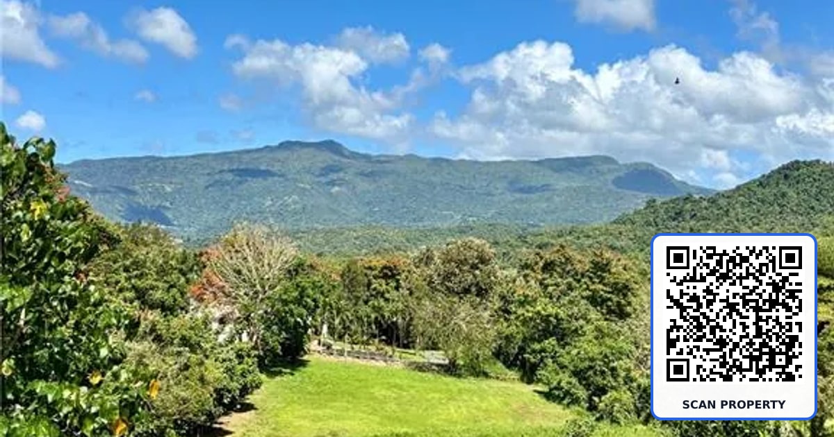 Bo Collores CARR#936 KM 1.0 UNIT Solar #1 property photo