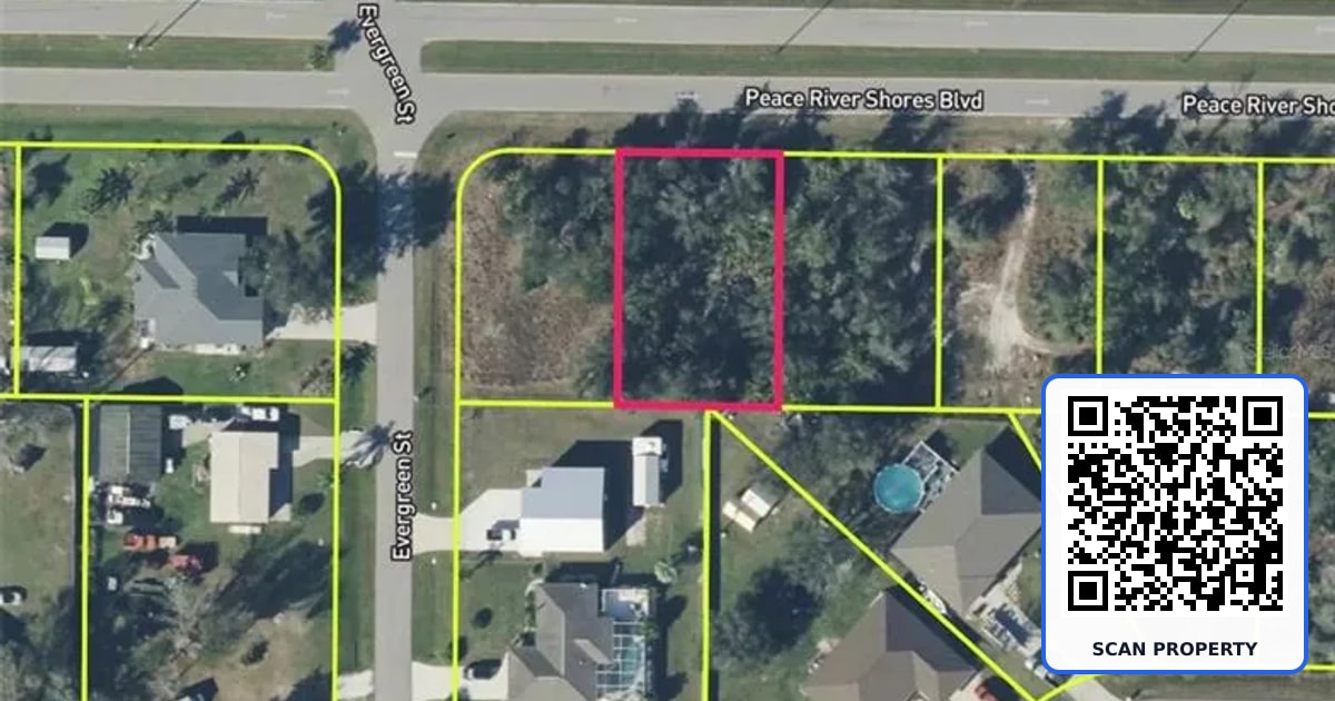 29411 PEACE RIVER SHORES BOULEVARD property photo
