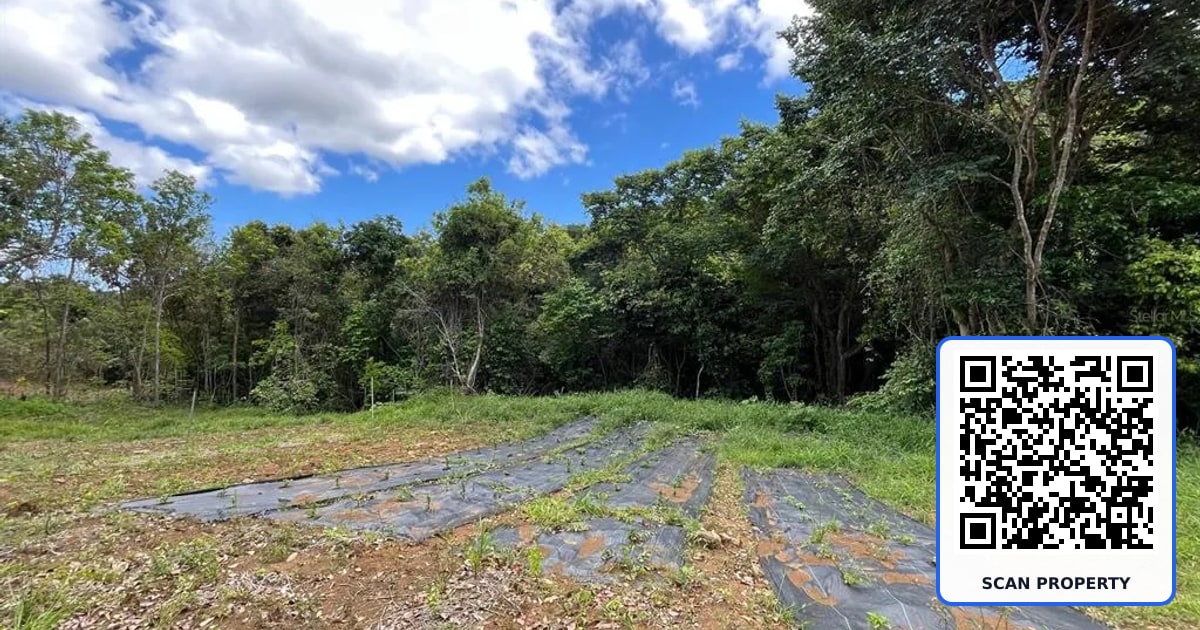 LOT 5 KM 2.5 CARRETERA 856 property photo