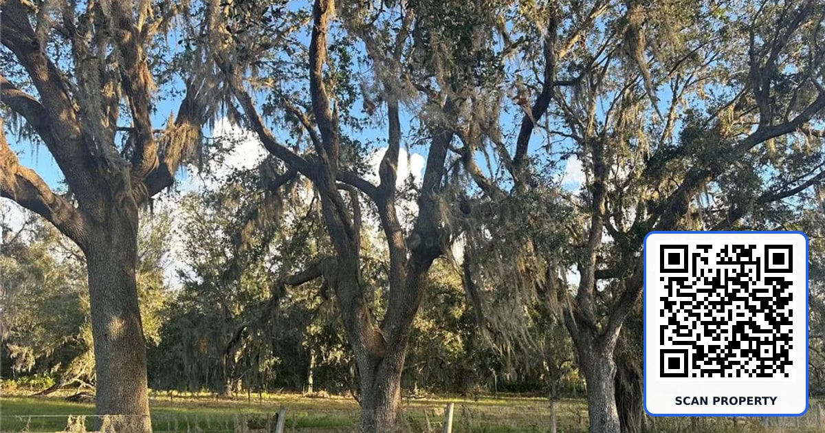 0 POLK ROAD property photo