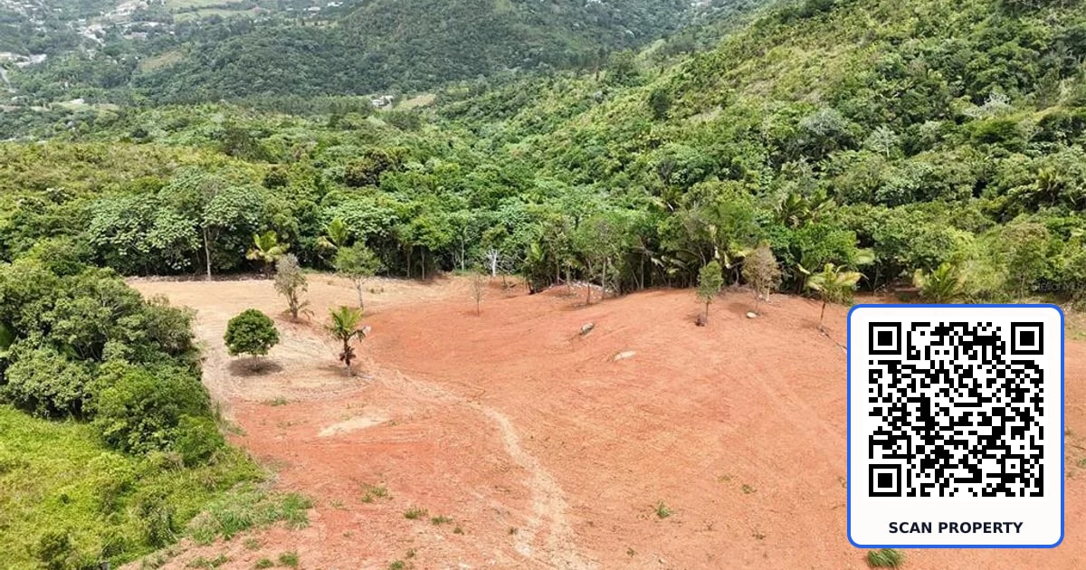PR 770 KM 2.9 PARCELA 3 PALO HINCADO property photo