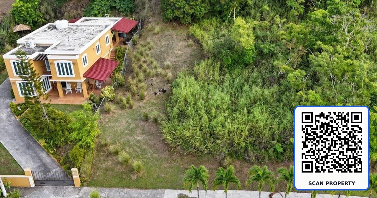 CARR. 734 KM. 5.8 SOLAR 3 BARRIO ARENAS property photo