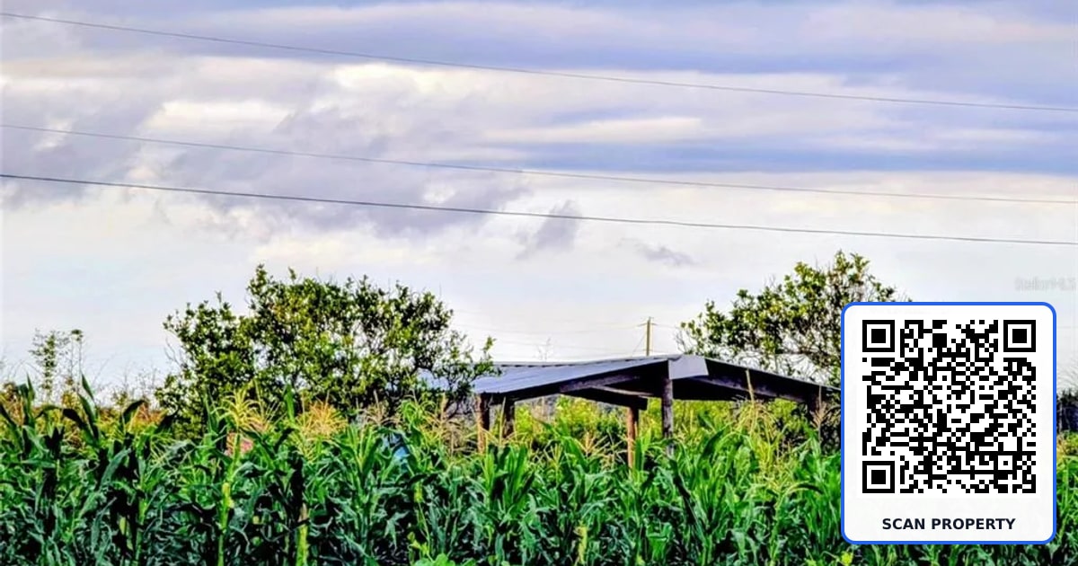0 MINERAL BRANCH ROAD property photo