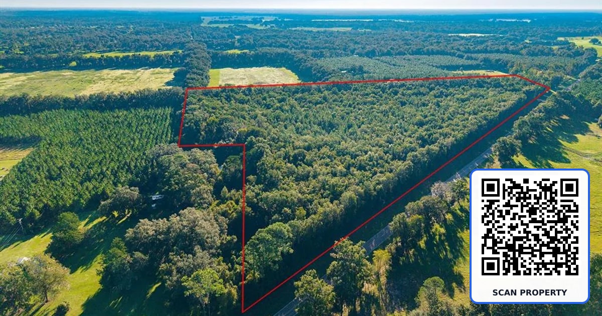 TBD 00 NW COUNTY ROAD 339 property photo