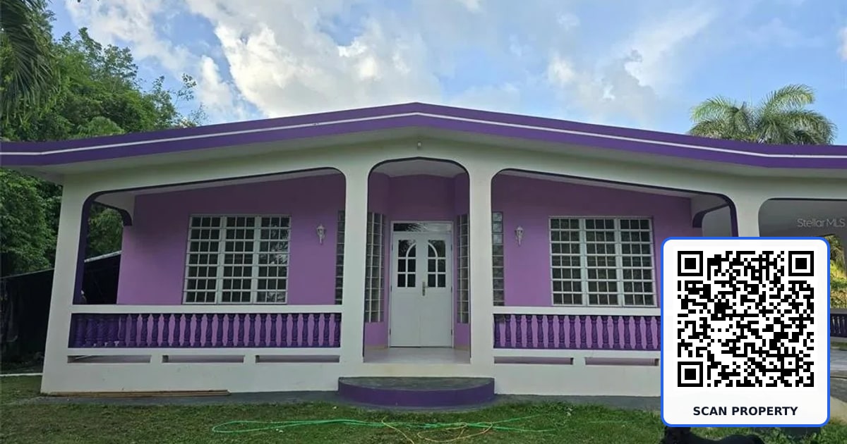 Carr 457 BO PLANAS SECTOR LA JUNGLA property photo