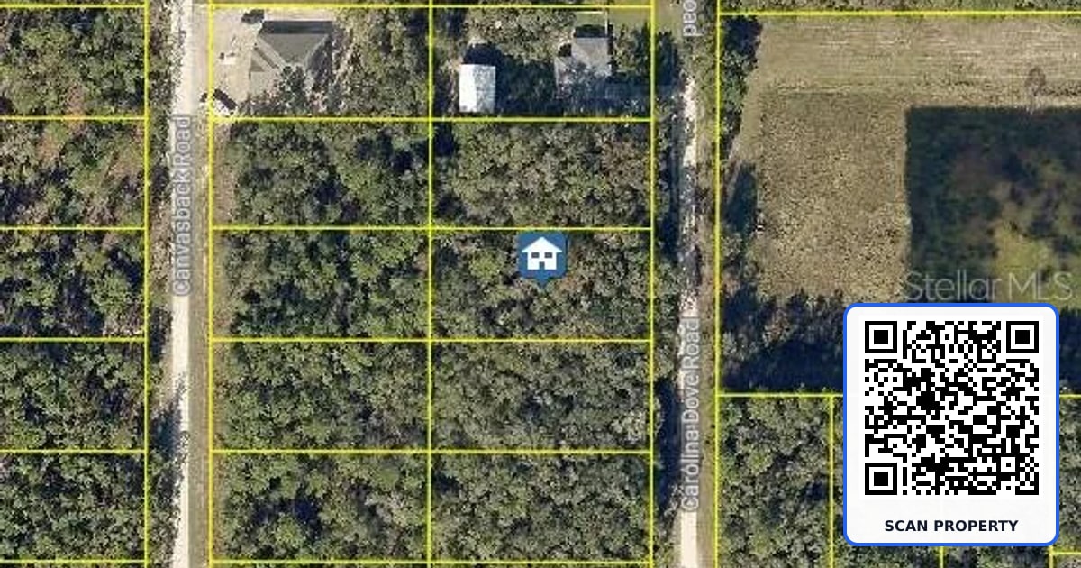 LOT 1021 CAROLINA DOVE ROAD property photo