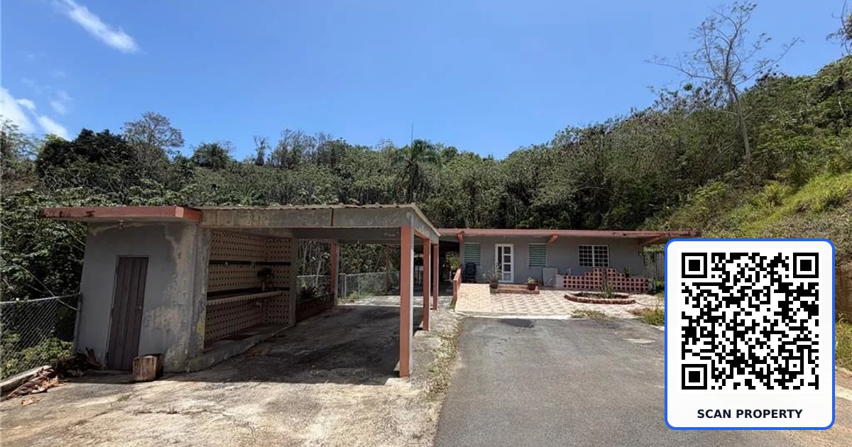 Carr 925 KM 4.9 BO. JUNQUITO property photo