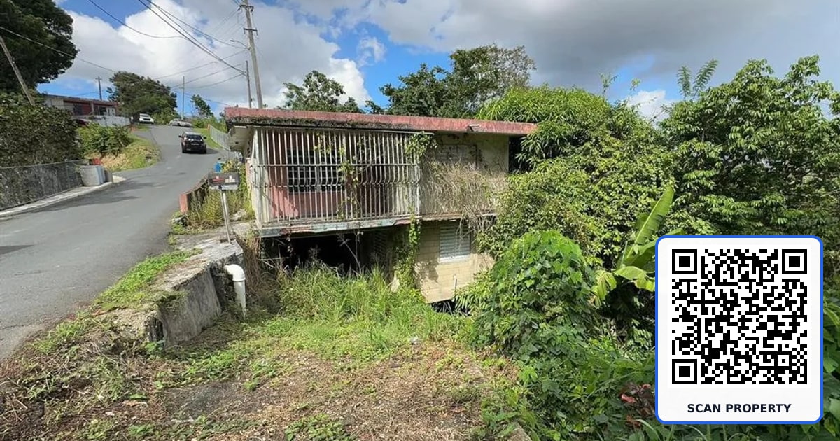 PR. 813 Km 2.1 BO. NUEVO property photo