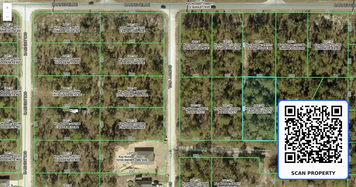 13031 GOLIATH COURT property photo