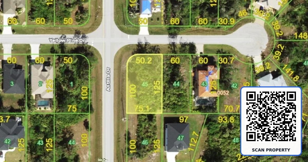 147 YELLOW PINE DRIVE property photo