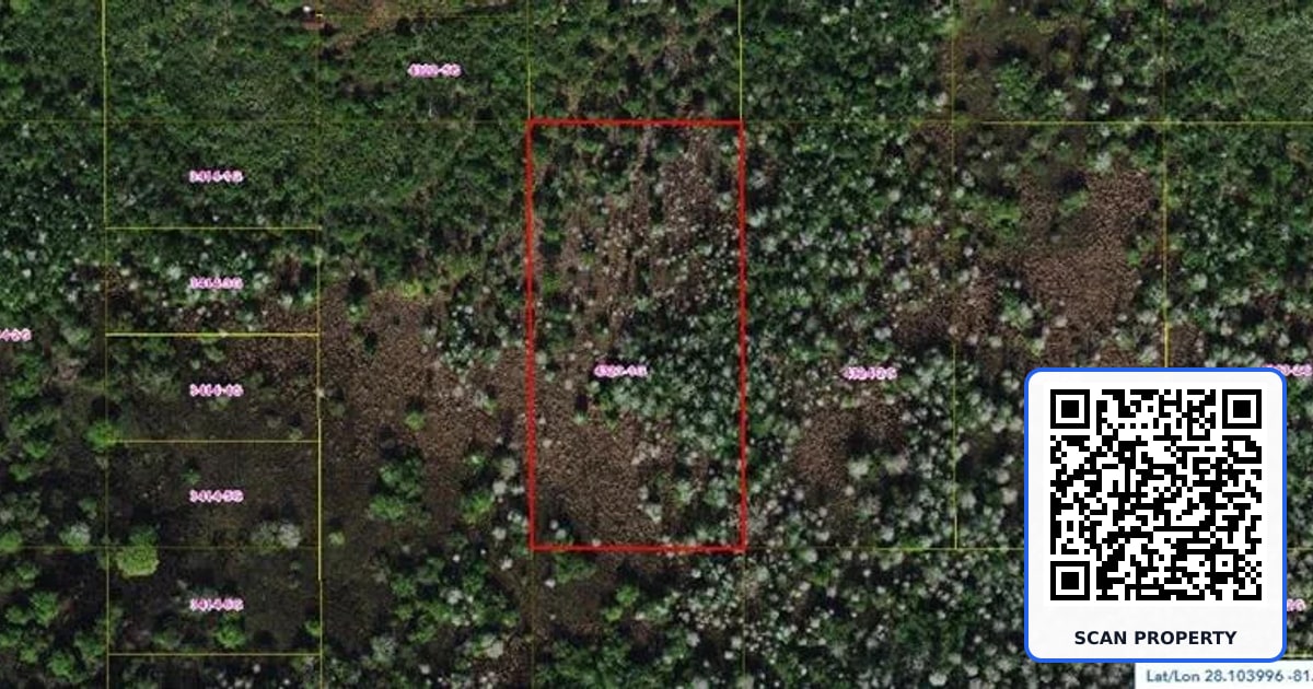 HOLOPAW GROVES ROAD property photo