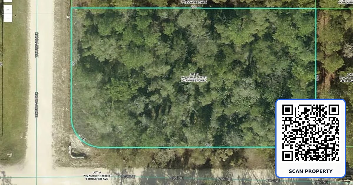 15026 CANVASBACK ROAD property photo
