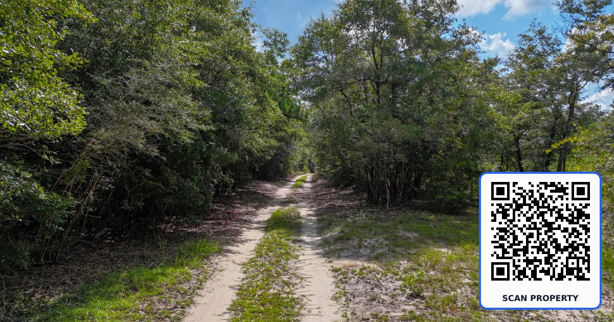 40 Acres Mossy Bend Road property photo
