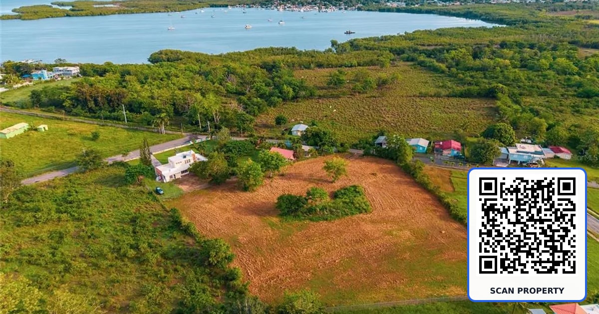 LA MELA BO. PEDERNALES property photo