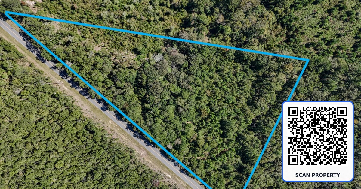 2.34 AC C J Laird Road property photo