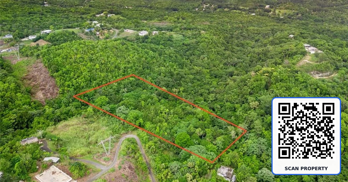 823 Km 4.5 BO. RIO property photo