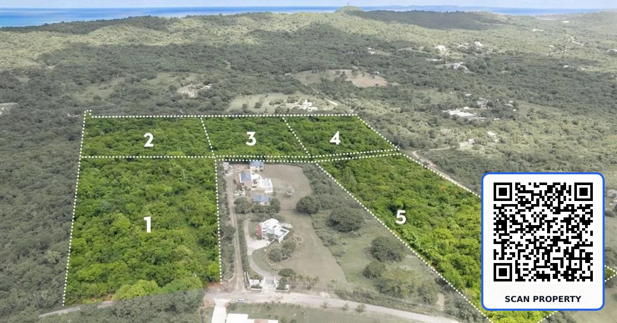 Lot 5 CARR 201 KM.HM 5.8 property photo