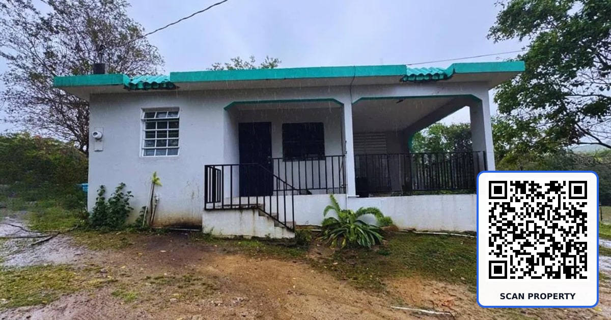 Calle #10 COMM MONTE SANTO P-2 property photo