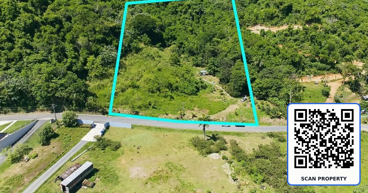 167 ANTON RUIZ property photo
