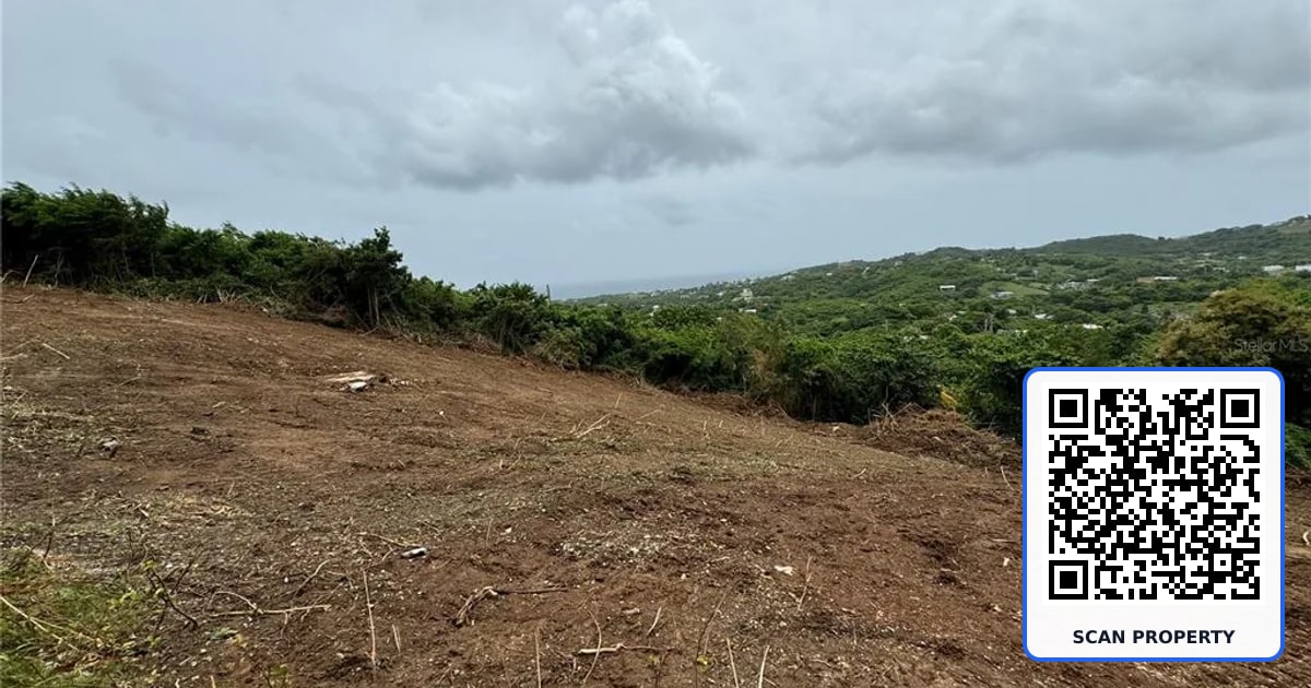 COMUNIDAD VILLA BORINQUÉN property photo