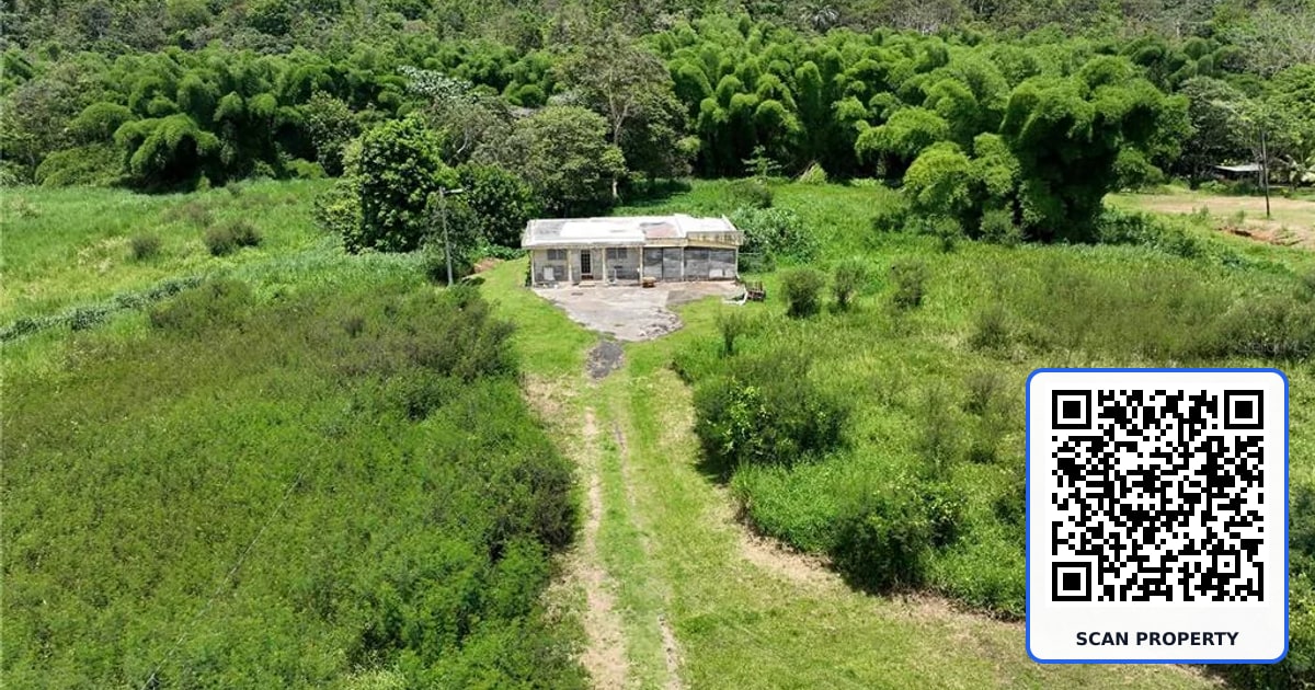 PR-181 BARRIO QUEBRADA HONDA property photo