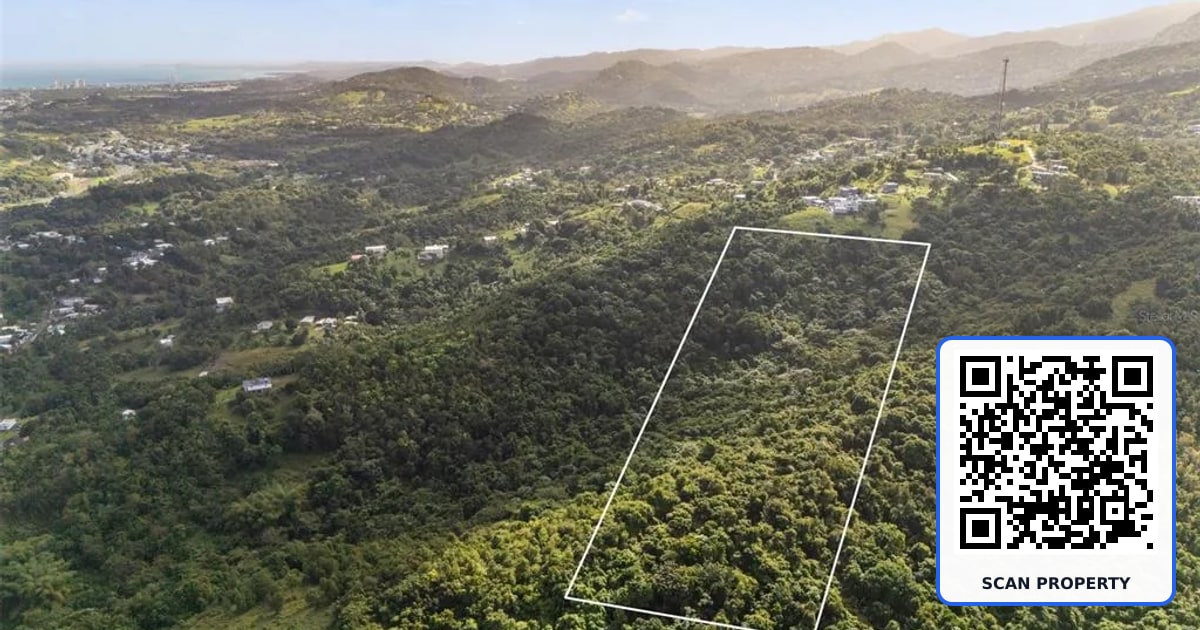 966 ZARZAL ROAD property photo