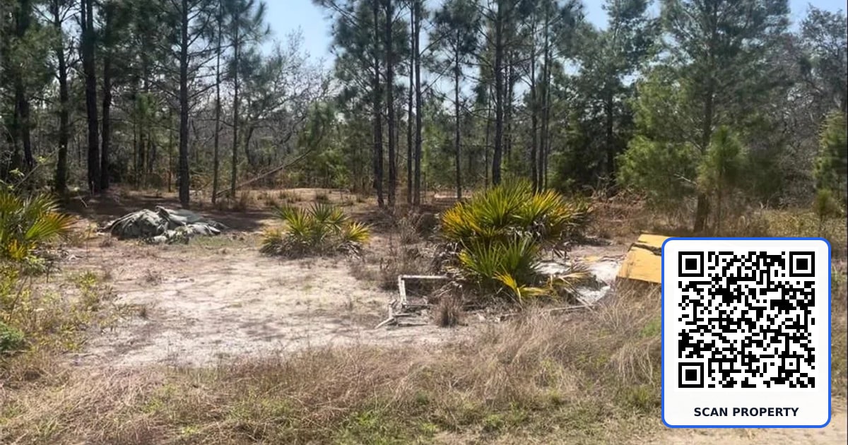 246 CASPIAN TERN AVENUE property photo